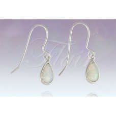 Teardrop w/Shepherd Hook